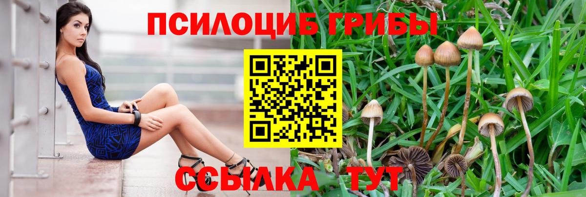 Галлюциногенные грибы Magic Shrooms  Вход с VPN  Мурино 
