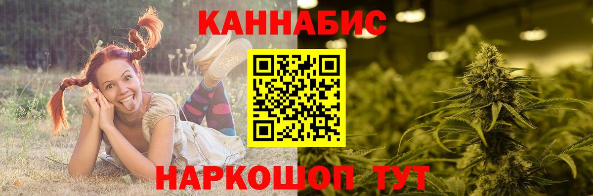 Мурино  Шишки марихуана марихуана  Вход с VPN  Каннабис семена 